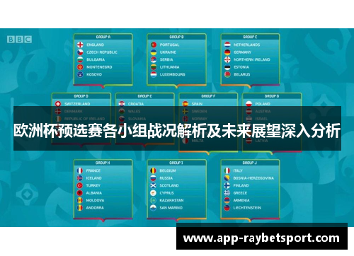 欧洲杯预选赛各小组战况解析及未来展望深入分析