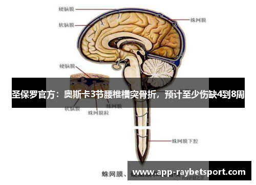 圣保罗官方：奥斯卡3节腰椎横突骨折，预计至少伤缺4到8周
